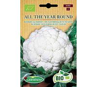 Germisem Biologico All The Year Round Semi di Cavolfiore 2 g