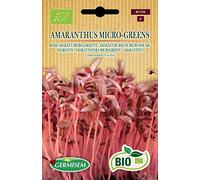 Germisem Biologico Amaranthus Micro-Greens Amaranth Semi 1 g