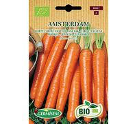 Germisem Biologico Amsterdam Semi di Carota 4 g