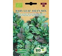 Germisem Biologico Baby Leaf Asian Mix Semi di Lattuga 2 g