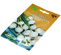 Germisem Biologico Barletta Semi di Cipolla 2 g