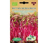Germisem Biologico Beet Mix Micro-Greens Semi di Rapa Rossa 10 g