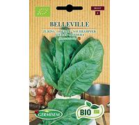 Germisem Biologico Belleville Semi di Acetosa 1 g