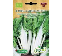 Germisem Biologico Blonde A Cardes Blanches 2 Semi di Bietola 3 g