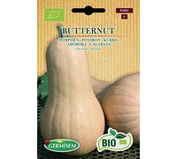 Germisem Biologico Butternut Semi di Zucca 2 g