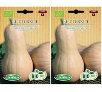 Germisem Biologico Butternut Semi di Zucca 2 g (Confezione da 2)