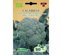 Germisem Biologico Calabrese Semi di Broccoli 3 g