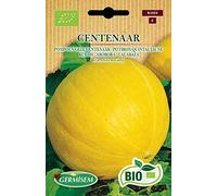 Germisem Biologico Centenar Semi di Zucca 2 g