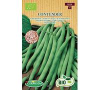 Germisem Biologico Contender Semi di Fagioli Francesi 80 g