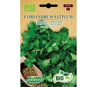 Germisem Biologico Coriandrum Sativum Semi 6 g
