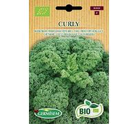 Germisem Biologico Curly Semi di Cavolo 2 g