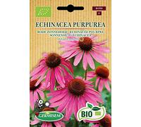 Germisem Biologico Echinacea Purpurea Semi di Echinacea Viola 0.5 g