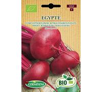 Germisem Biologico Egypte Semi di Barbabietola 4 g