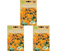 Germisem Biologico Eschscholzia California Semi di Papavero d'oro 0.5 g (Confezione da 3)