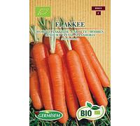 Germisem Biologico Flakkee Semi di Carota 4 g