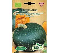 Germisem Biologico Hokkaido Semi di Zucca 2 g