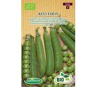 Germisem Biologico Kelvedon Semi di Piselli 80 g