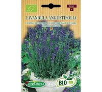 Germisem Biologico Lavandula Angustifolia Semi di Lavanda 0.5 g
