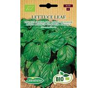 Germisem Biologico Lettuce Leaf Semi di Basilico 2 g