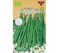 Germisem Biologico Markant Semi di Fagiolo Rampicante 80 g