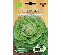 Germisem Biologico May Queen Semi di Lattuga 2 g