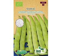Germisem Biologico Nassau Semi di Fagioli Francesi 80 g