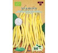 Germisem Biologico Neckargold Semi di Fagioli Francesi 80 g