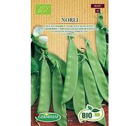 Germisem Biologico Norli Semi di Pisello Zucchero 80 g