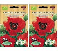 Germisem Biologico Papaver Glaucum Semi di Papavero 0.5 g (Confezione da 2)
