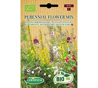 Germisem Biologico Perennial Semi di Mix di Fiori 1 g