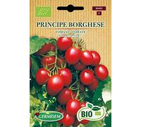 Germisem Biologico Principe Borghese Semi di Pomodoro 0.5 g