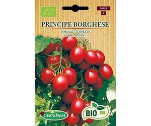 Germisem Biologico Principe Borghese Semi di Pomodoro 0.5 g