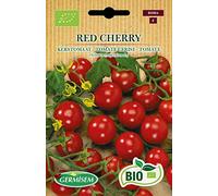 Germisem Biologico Red Cherry Semi di Pomodoro 0.5 g