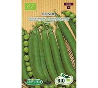 Germisem Biologico Rondo Semi di Piselli 80 g