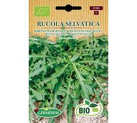 Germisem Biologico Rucola Selvatica Semi di Rucola 2 g