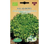 Germisem Biologico Salad Bowl Semi di Lattuga 1 g