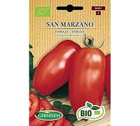 Germisem Biologico San Marzano Semi di Pomodoro 0.5 g