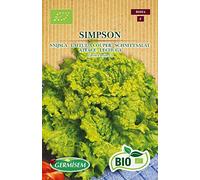 Germisem Biologico Simpson Semi di Lattuga 1 g