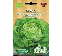 Germisem Biologico Suzan Semi di Lattuga 1 g