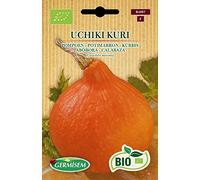 Germisem Biologico Uchiki Kuri Semi di Zucca 3 g