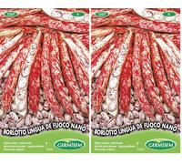 Germisem Borlotto Lingua de Fuoco Nano Semi di Fagioli Francesi 100 g (Confezione da 2)