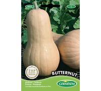 Germisem Butternut Semi di Zucca 3 g