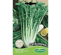 Germisem Catalogna Semi di Cicoria Selvatico 3 g