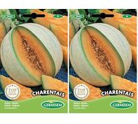 Germisem Charentais Semi di Melone 3 g (Confezione da 2)