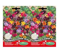 Germisem Climbing Semi di Mix di Fiori 10 g (Confezione da 2)