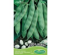 Germisem Coco Blanc Semi di Fagioli Francesi 100 g