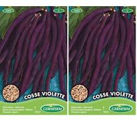 Germisem Cosse Violette Semi di Fagiolo Rampicante 100 g (Confezione da 2)