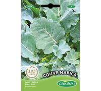 Germisem Couve Nabiça Semi di Cavolo 5 g