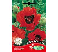 Germisem Deep Scarlet Semi di Papavero 1 g