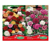 Germisem EC1523 Semi & EC1535 Semi